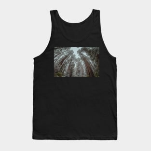 Snow in a Redwood Forest Tank Top